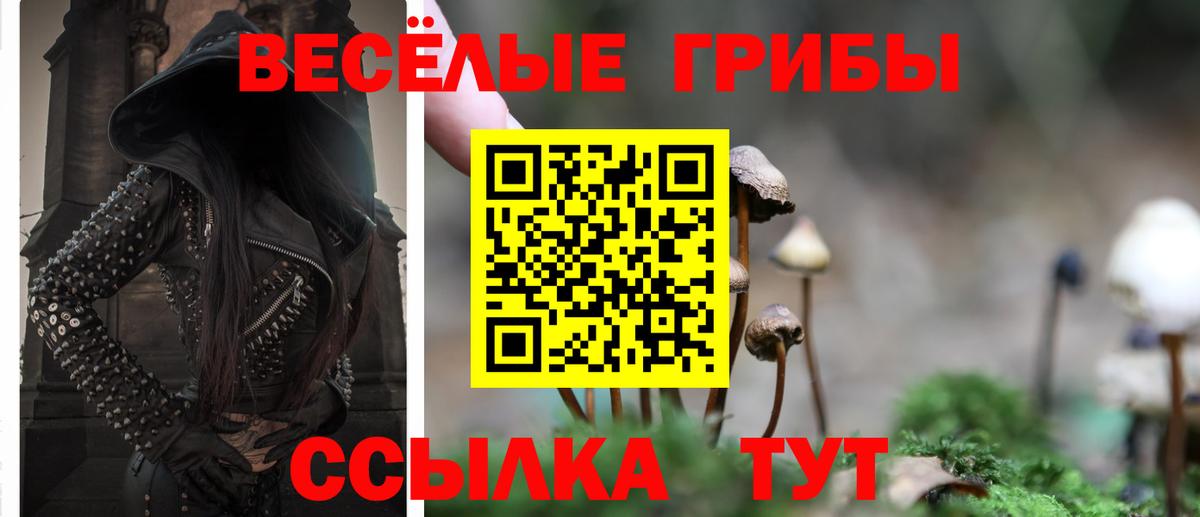 Галлюциногенные грибы GOLDEN TEACHER  Вход с VPN  Карпинск 